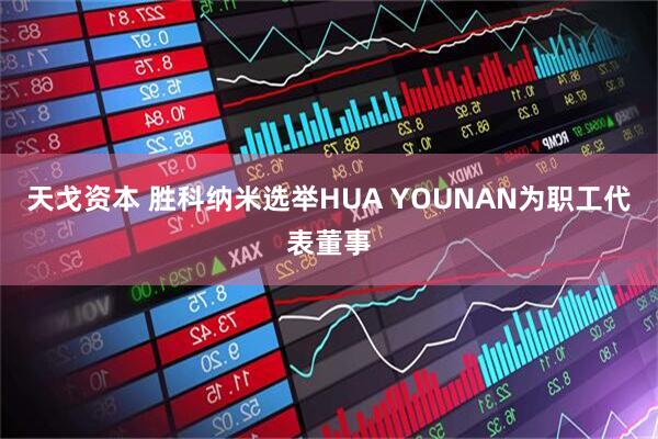 天戈资本 胜科纳米选举HUA YOUNAN为职工代表董事