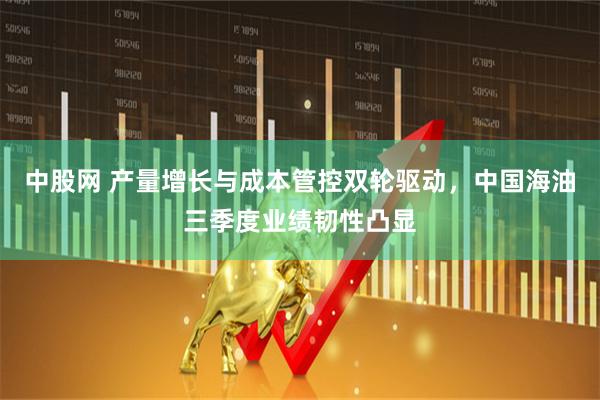 中股网 产量增长与成本管控双轮驱动，中国海油三季度业绩韧性凸显