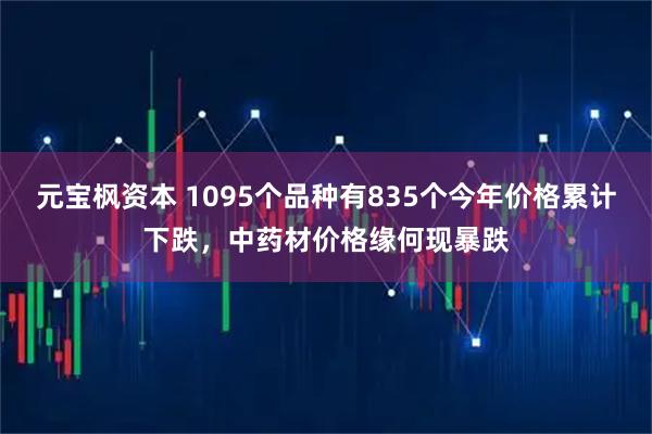 元宝枫资本 1095个品种有835个今年价格累计下跌，中药材价格缘何现暴跌